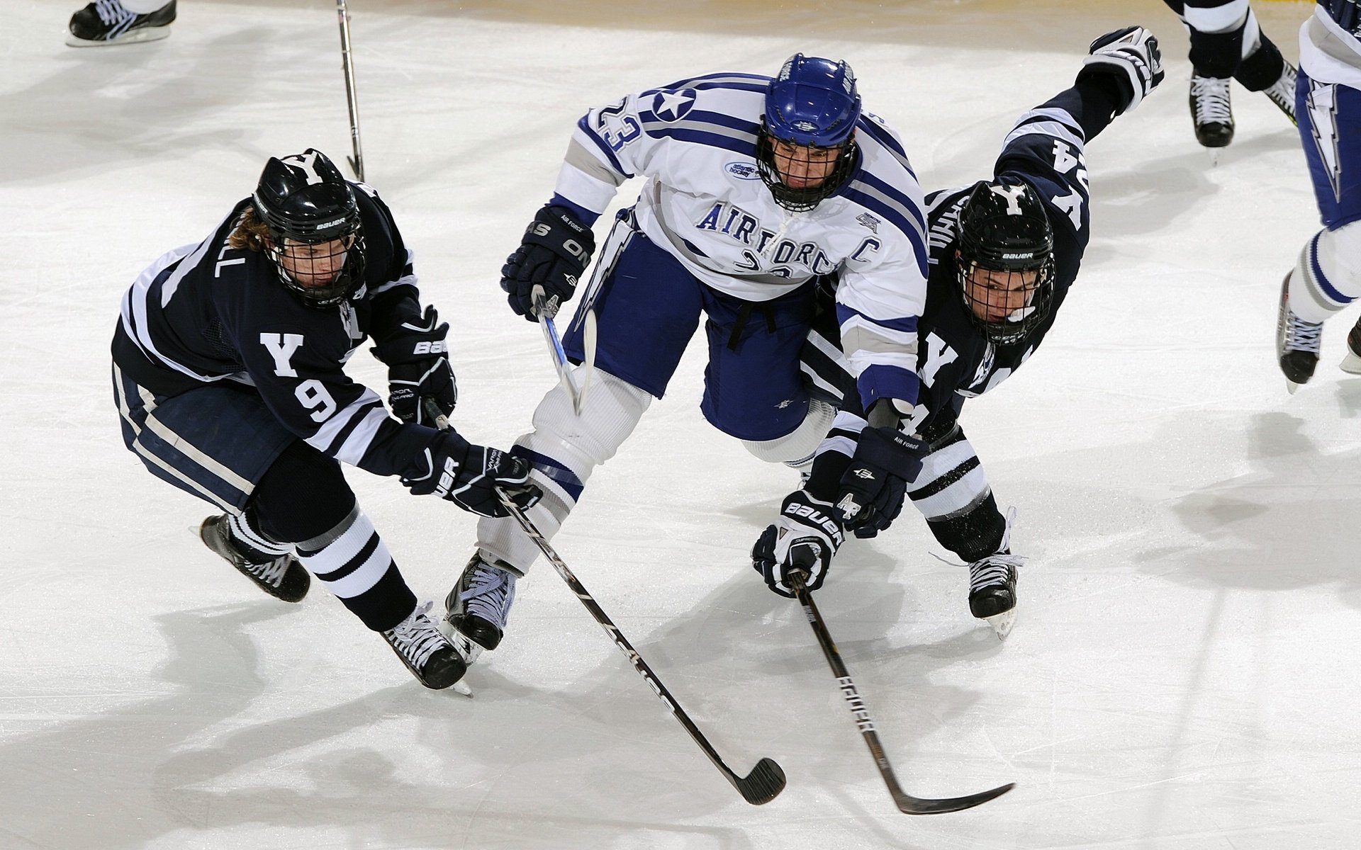 CBA季后赛激战正酣 辽宁本钢力克广东华南虎挺进总决赛